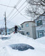 Ньюфаундленд: снежный апокалипсис