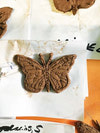 Присоединяйтесь к музею Gardiner в его мастерской по изготовлению керамических бабочек...