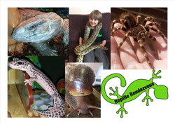 Reptile Rendezvous - встречи с рептилиями, вы познакомитесь, в том числе, и с обитающими в Онтарио рептилиями – змеями, ящерицами и черепахами...