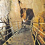 Вход в подземные шахты в “городе Давида” в Иерусалиме