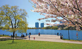 Хай Парк - одна из самых популярных достопримечательностей Торонто