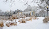 Одна из главных достопримечательностей  Торонто - оранжерея Allan Gardens Conservatory... 