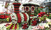 Выставка Winter Flower Show в Allan Gardens Conservatory