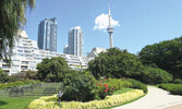 Музыкальный сад Торонто - это  уникальный парк, спланированный при участии знаменитого виолончелиста Йо Йо Ма, а в основу планировки легла Первая сюита Баха для соло виолончели...