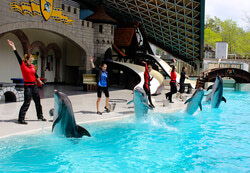 Marineland - это  морской тематический парк, где посетителей встречает множество обитателей водной среды. Это и зоопарк, населенный сухопутными животными. Это еще и парк аттракционов, рассчитанных на все возрасты, вкусы и 
возможности...
