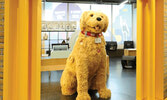 Мероприятие "Meet Oscar the 6-Foot Dog" в рамках программы Ontario Science Centre’s KidSpark...