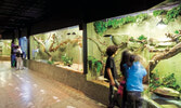 Reptile and Plant Expo
