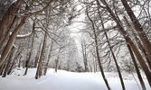 Rouge National Urban Park...